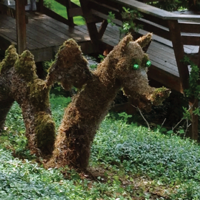 Groundwork - Hillside Gardening 